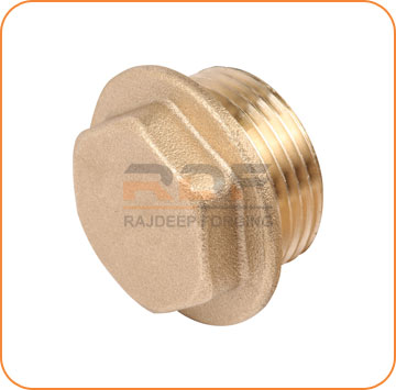 Brass Plug for Transformers Tank